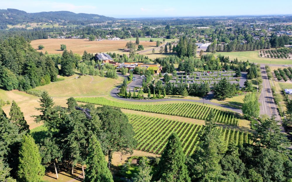 Rain Dance's vineyards circle The Allison Inn & Spa